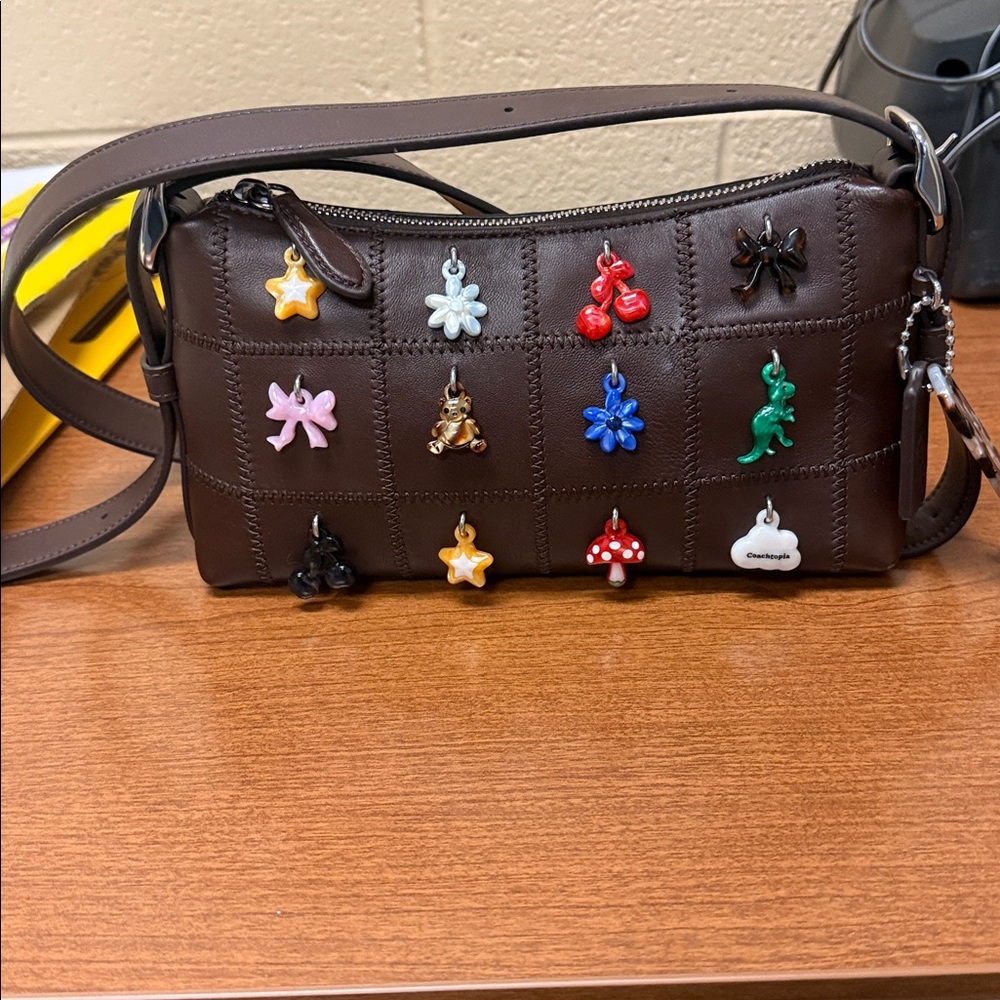 Coachtopia Upcrafted Checkerboard Soft Pochette with Charms